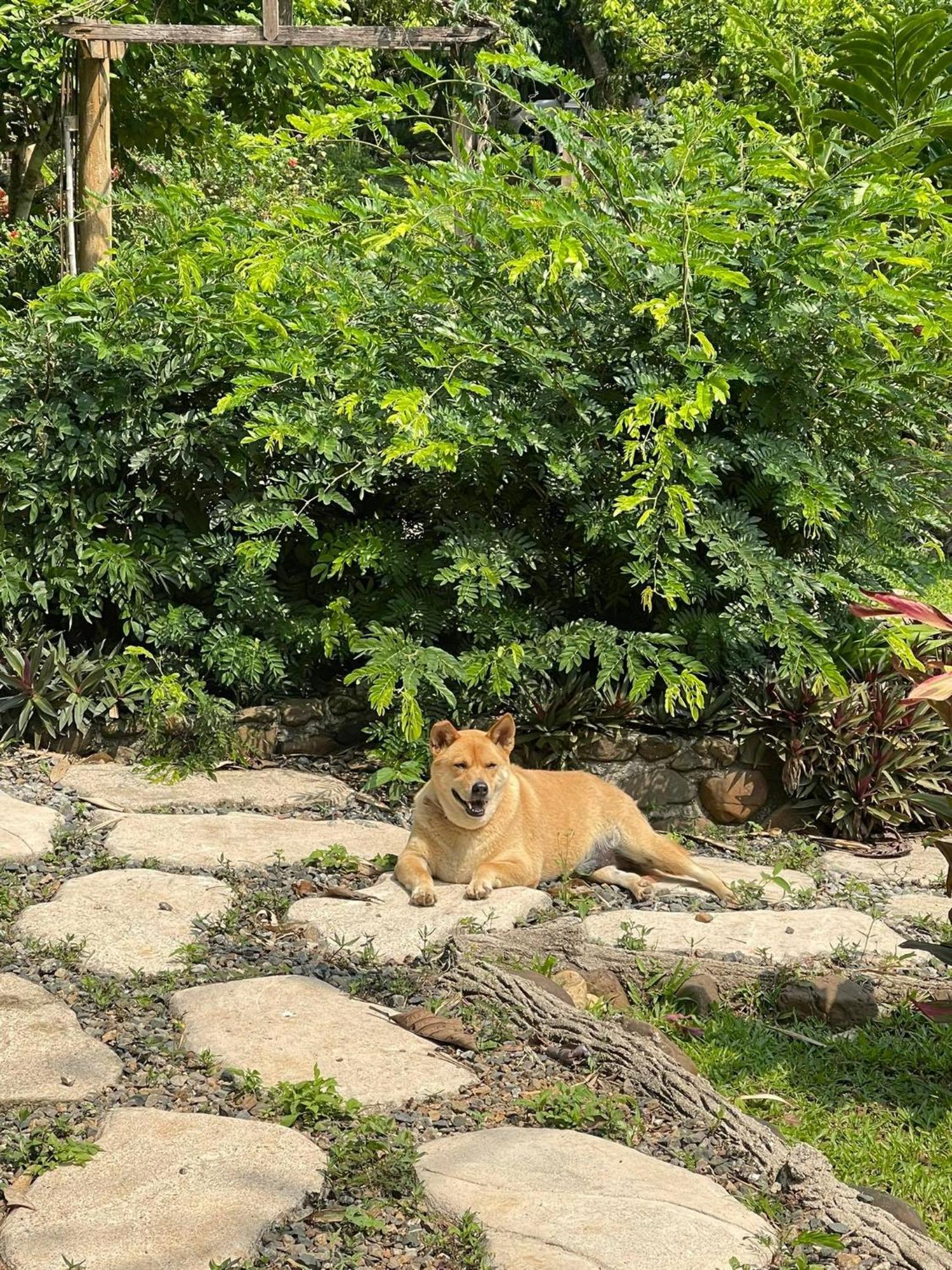 At Home Chiang Dao, Pooch Lovers Ban Tham  Exterior photo